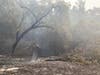 Trees in the burn zone remain a falling hazard.