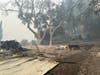 A family cabin on Big Ridge Road was destoyed by Walbridge Fire.