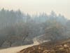 Winding road ravaged by wildfires.