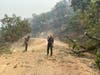 Danger from falling trees lingers in Walbridge Fire burn zone.