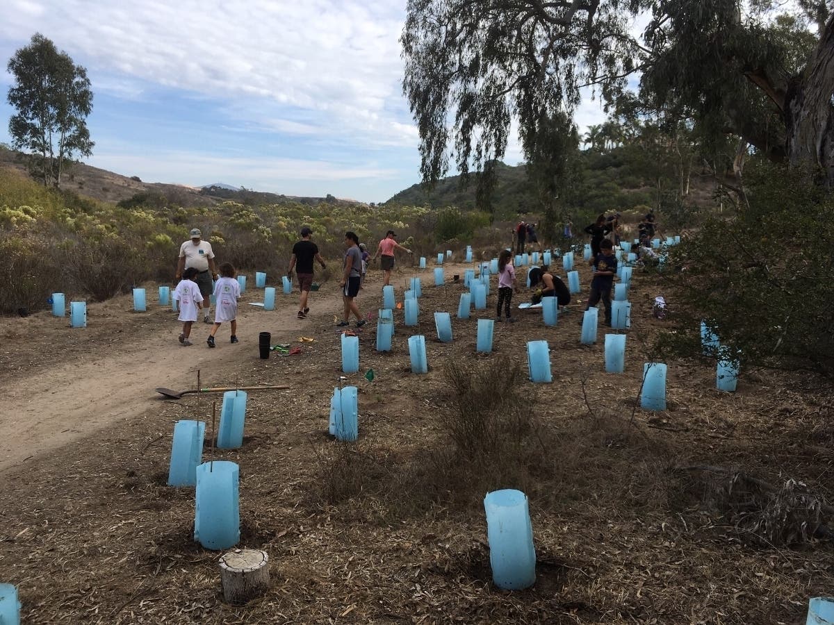 https://patch.com/img/cdn20/users/22511888/20200901/121839/styles/patch_image/public/planting-gonzales-canyon-photo-sdrvc___01121242938.jpg
