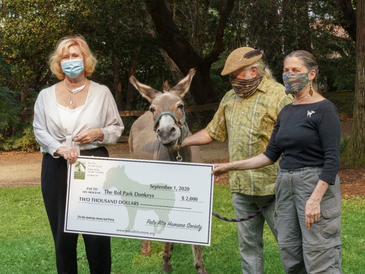 From left: Palo Alto Humane Society Executive Director Carole Hyde; donkey Jenny; handler Mike Holland; and Jenny Kiratli, Barron Park donkey-care coordinator.