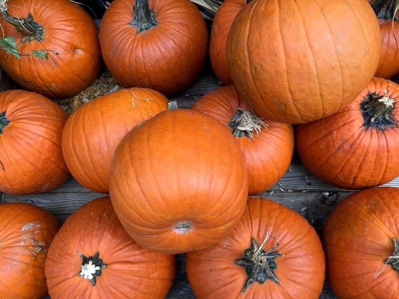 Pa's Pumpkin Patch operated each year at 6701 E. Pacific Coast Hwy. in Long Beach, CA.