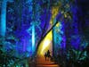 Descanso Gardens in La Cañada Flintridge will host its annual "Carved" and the "Enchanted Forest of Light" events for 2021.