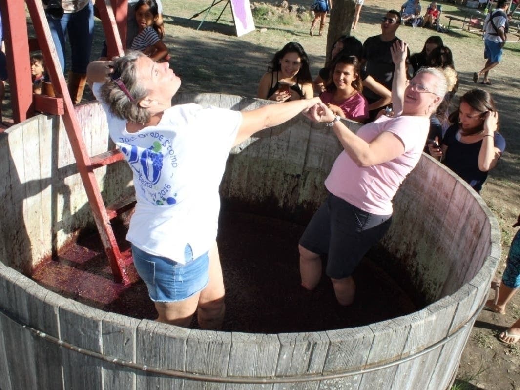 The annual Grape Stomp Festa is Saturday, Sept. 4, 2021 at the Menghini Winery n Julian, CA.