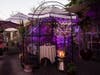 Lady Byrd Café provides the romantic garden setting for Valentine's Day in Echo Park.