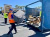 The city, Caltrans, Goodwill of Orange County and other entities and nonprofits partnered for Lake Forest's recent "Dump Day." 