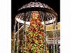 The line-up at Balboa Bay Resort in Newport Beach for Christmas Eve & Day brunch is among a slew of festive, restaurant dining offers throughout Orange County, CA.