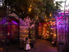 Lady Byrd Café in Echo Park features a winter wonderland atmosphere and a new holiday menu for breakfast, lunch, aperitivo and dinner.