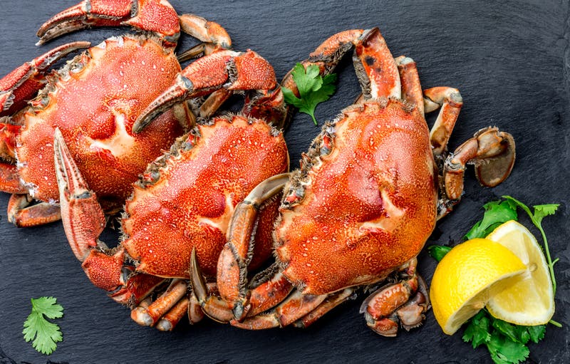 Mar 11 | Bishop O'Dowd High School Annual Crab Feed 2023: Oakland |  Berkeley, CA Patch
