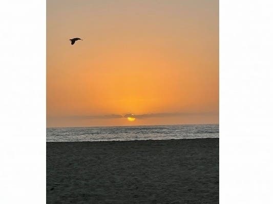 Carlsbad State Beach.