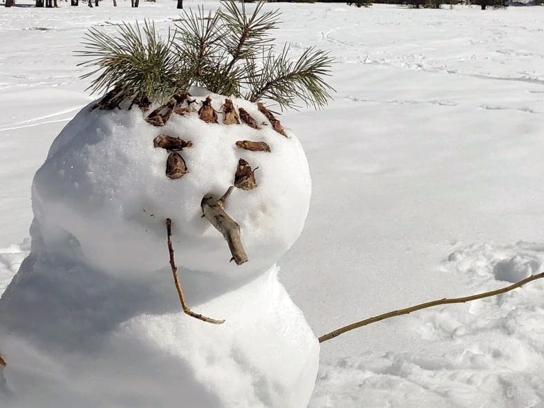 Inland Empire weekend highlights, for Jan.28-29, 2023, include Snow Play Day in Corona, the "Passion 4 Pinot Noir" festival in Palm Springs and Lunar New Year events in Ontario, Riverside and Temecula.