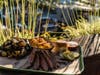  Park 101 in Carlsbad is hosting the "ultimate watch party" with multiple flat-screens, a jumbotron,  drink stands & food stalls, along with takeout platters.