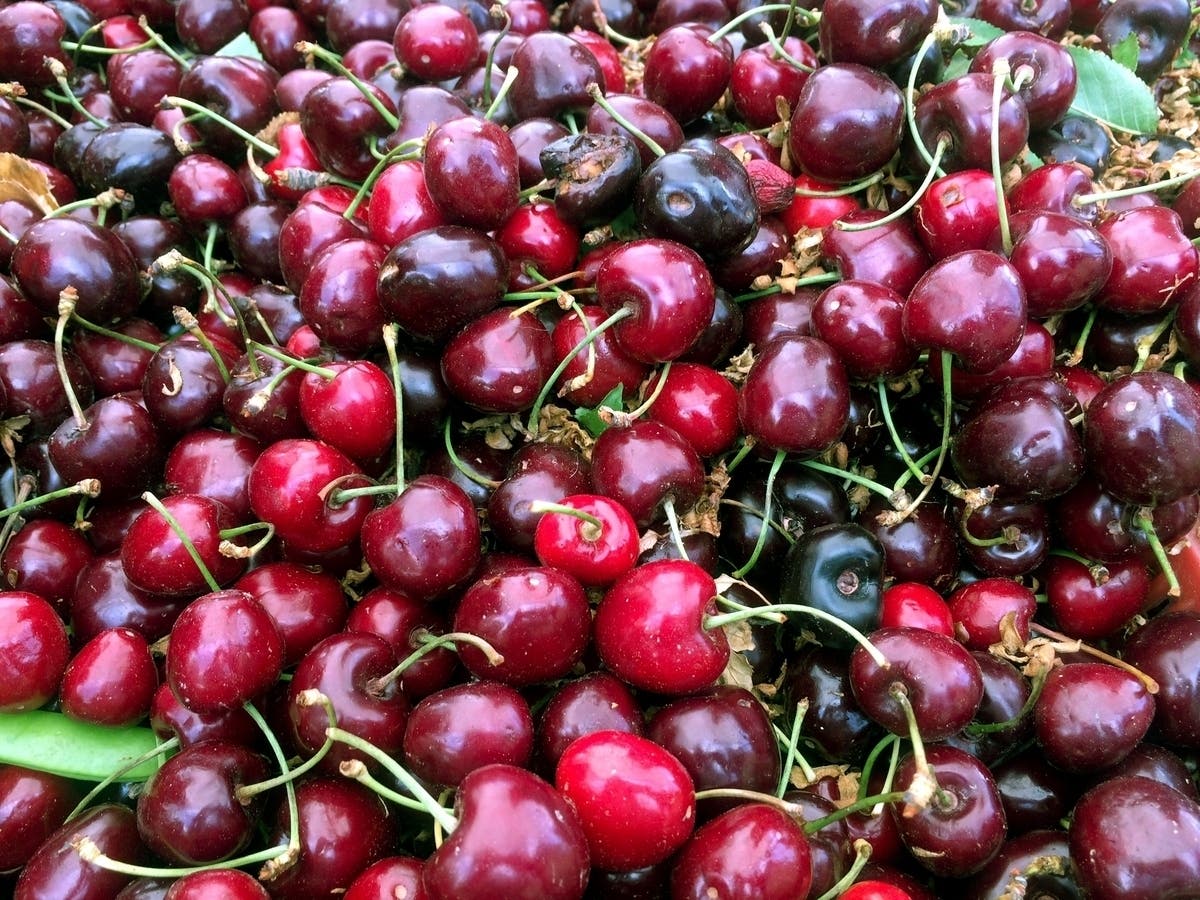 Among top events June 3-4, 2023 throughout SF Bay Area communities are San Leandro's Cherry Festival & Parade, Jurassic Quest at Alameda County Fairgrounds, Pleasanton, and San Mateo County Fair in San Mateo & San Joaquin County Fair in Stockton.