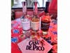 Raise a toast to Dad with tequila flight special June 18 at Casa de Pico in La Mesa.