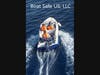 Boat Safe US