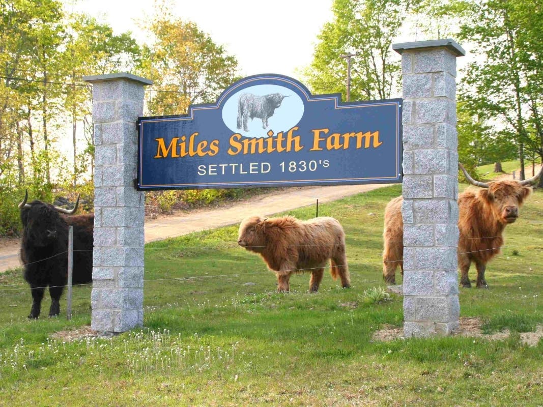 I can only hope that my new neighbors will love the land and the view as much as I do. https://milessmithfarm.com/blog/one-way-farmers-can-raise-money