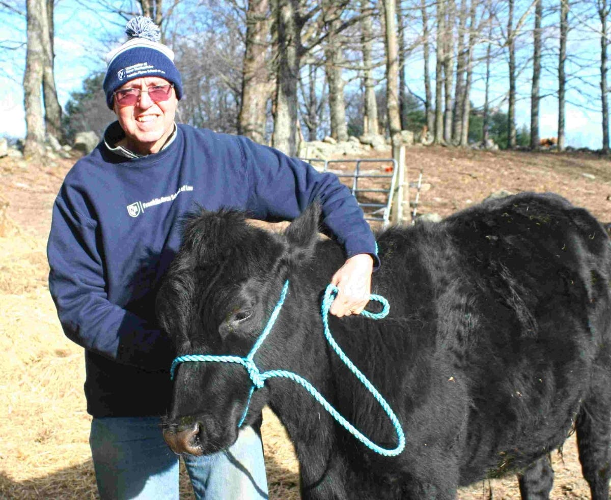 Jerry Martin, an Airbnb guest, and Franklin Pierce law student, helped with daily farm chores. Big Bud, the black steer, was one of the delinquent bovines that Jerry helped round up when the herd escaped through an open gate.