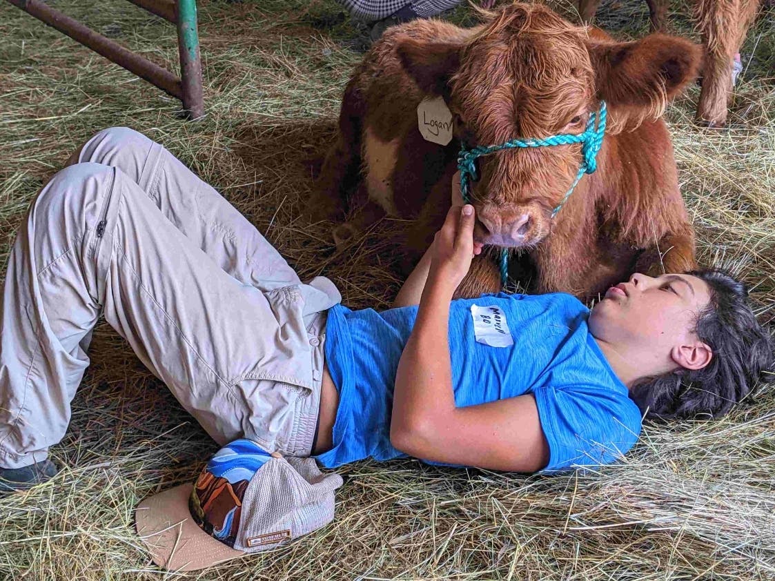 Maxwell takes a break with his calf, Logan, at the Learning Networks Foundation Summer Camp, where eight teams of two campers paired up with a calf for the week. The week ended with a “Calf Show,” where the campers got to show off what they learned.
