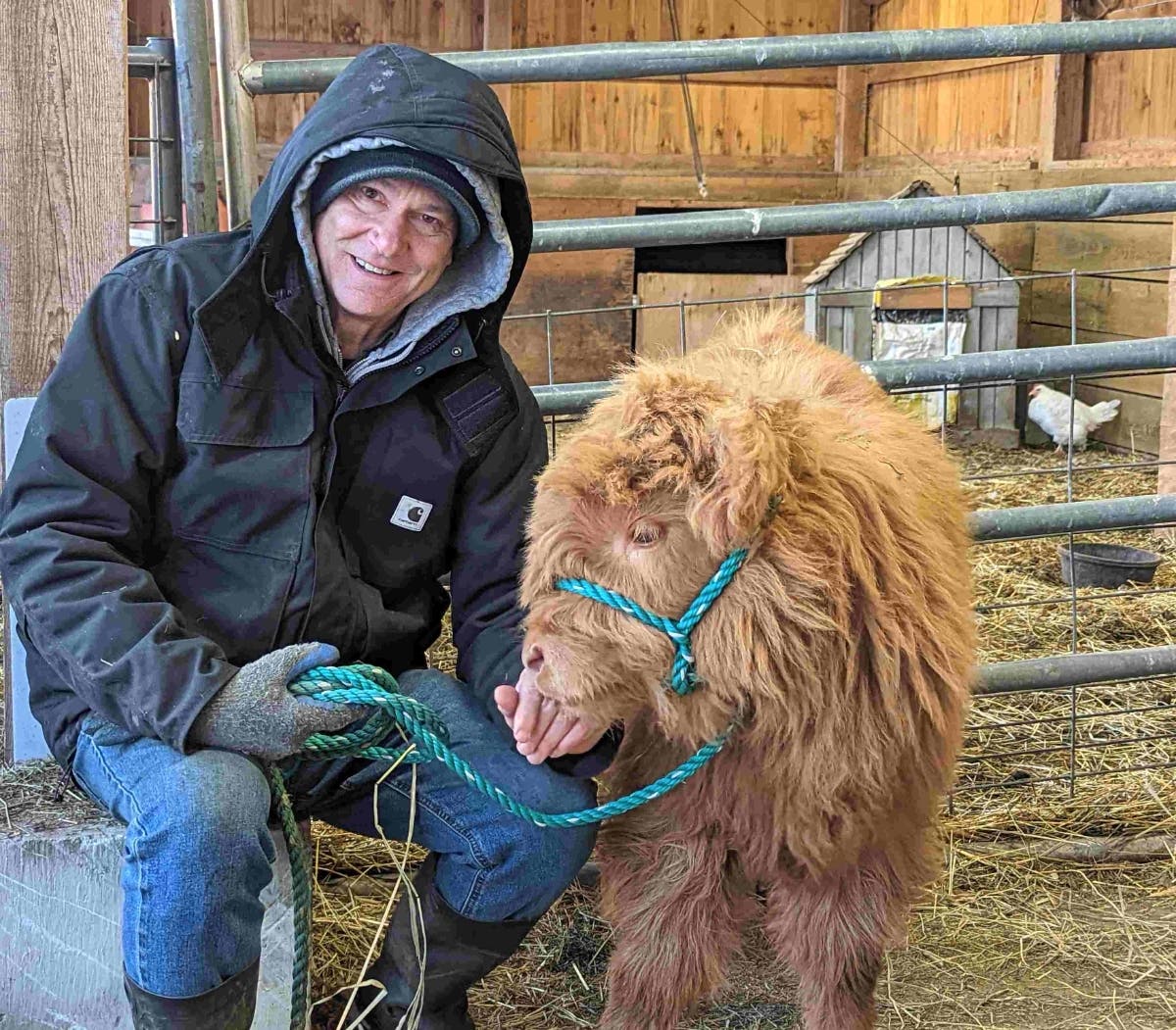 Bruce, like me, loves communicating with bovines, like Millie, a 3-month-old heifer. Bruce's magical ability to fix all things mechanical at Miles Smith Farm makes it possible to feed and care for our herd of Scottish Highland cattle.