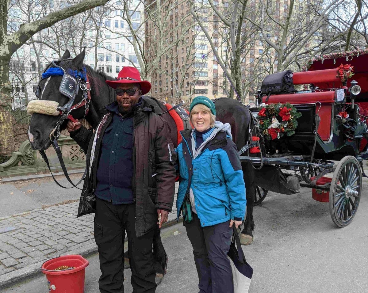 A visit to New York City included a carriage ride through Central Park, where cars are banned, and horses, joggers, and bikers rule the roads. We passed Sheep Meadow, a place without sheep. This farmer had to find out what had happened to them.