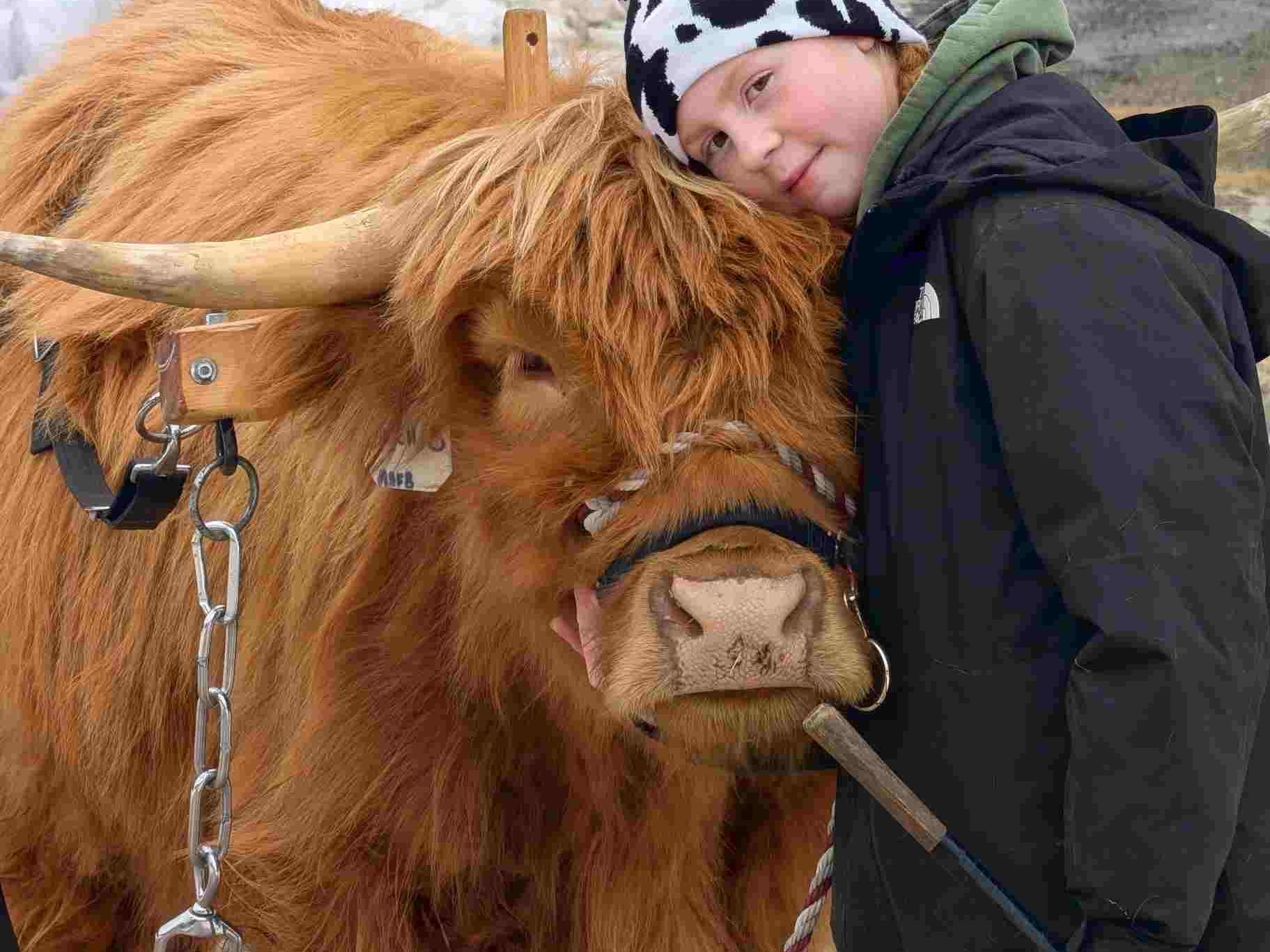 Cow Crew Experience