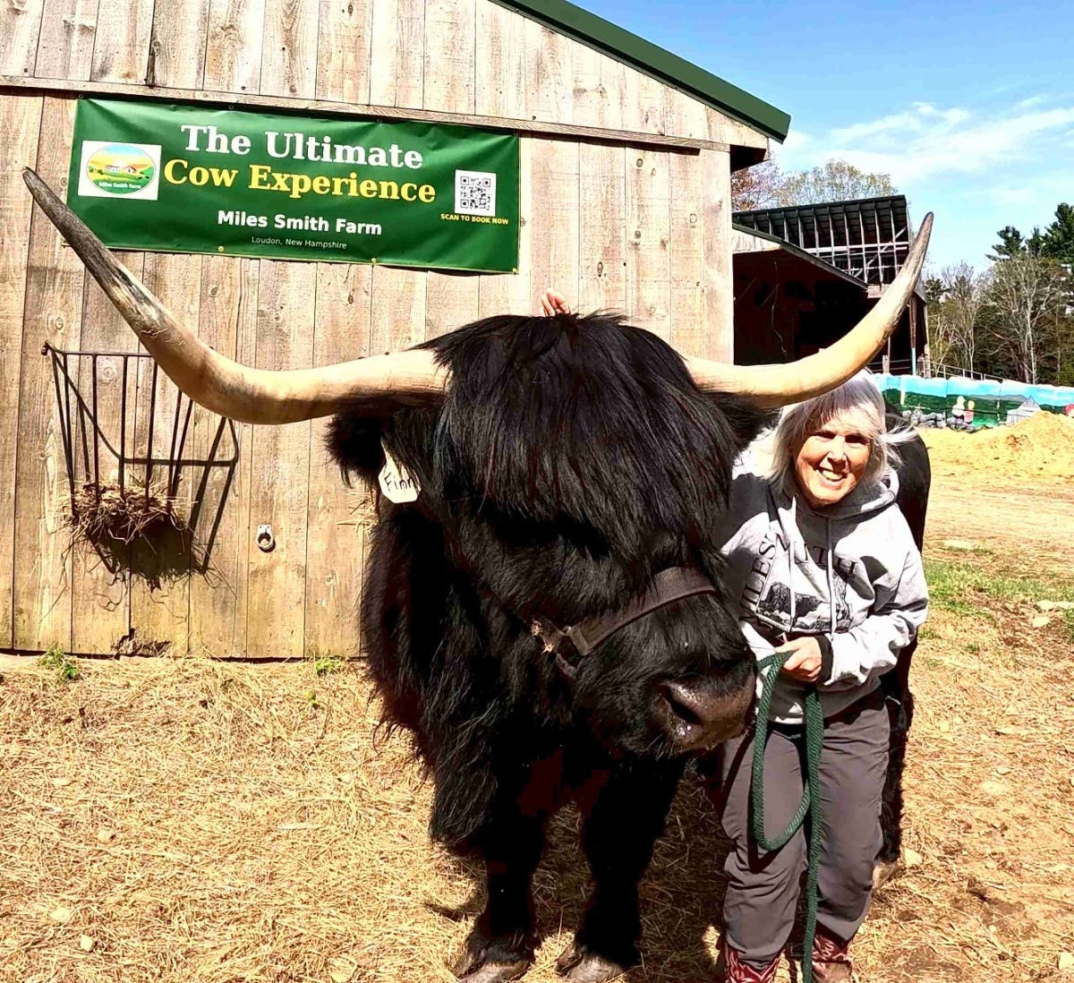 Finn, a gentle 10-year-old Scottish Highland steer, is one of the bovine ambassadors at Miles Smith Farm. His name on his ear tag marks him as a friend, not just a number. Meeting Finn through the Ultimate Cow Experience is a memory waiting to happen.