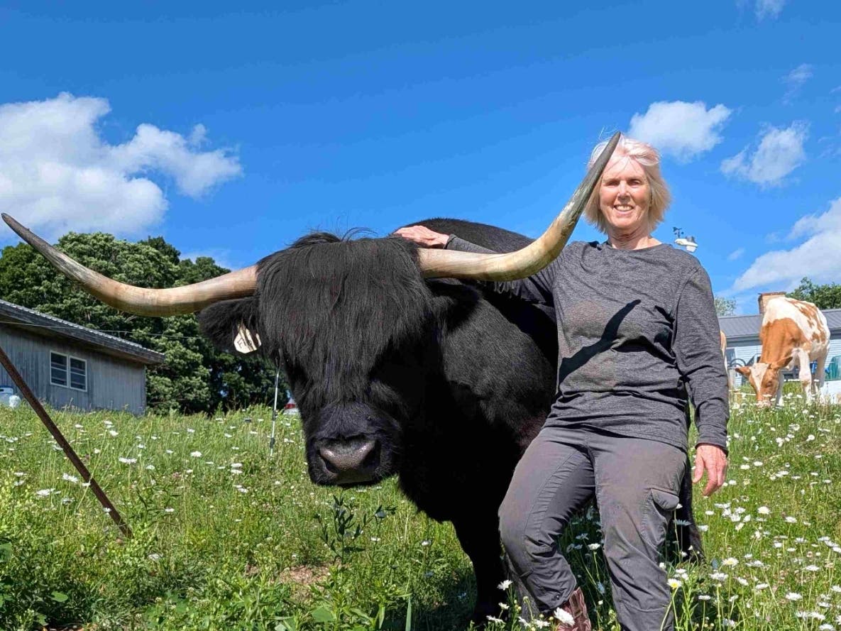 Cow Coach Carole has a new job for her bovines: therapists.