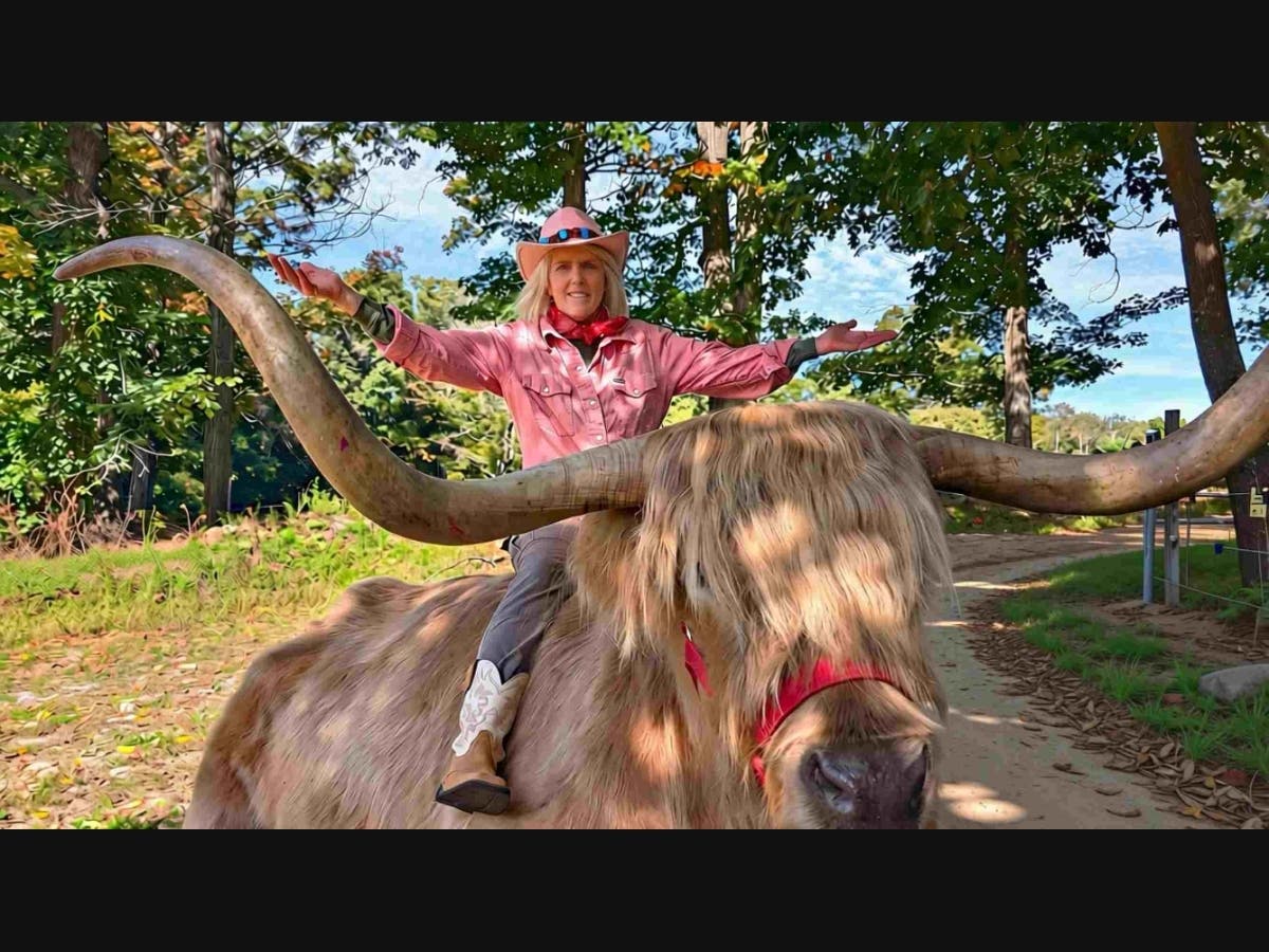 Horns may look like handlebars, but grab a steer by the horns and you'll get nowhere