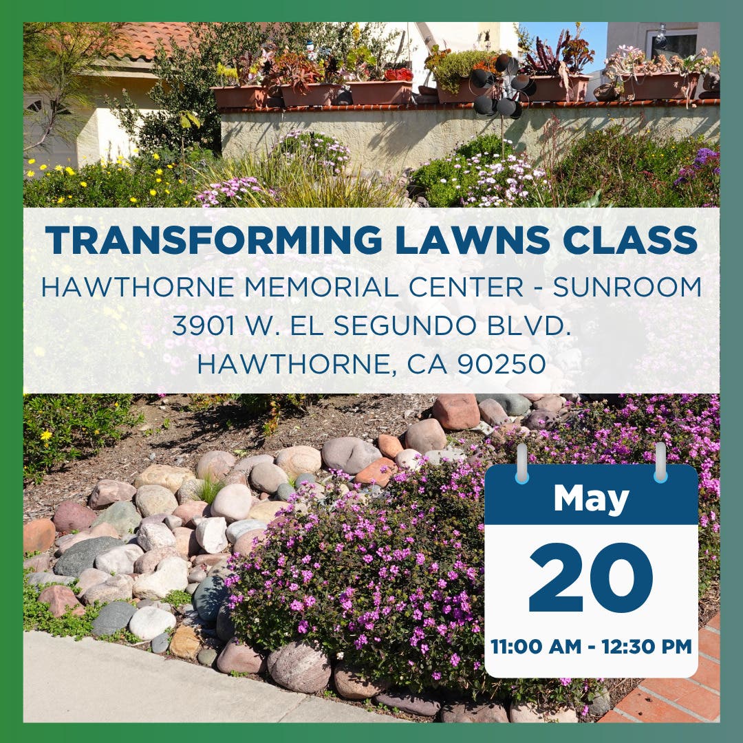 Transforming Lawns Class