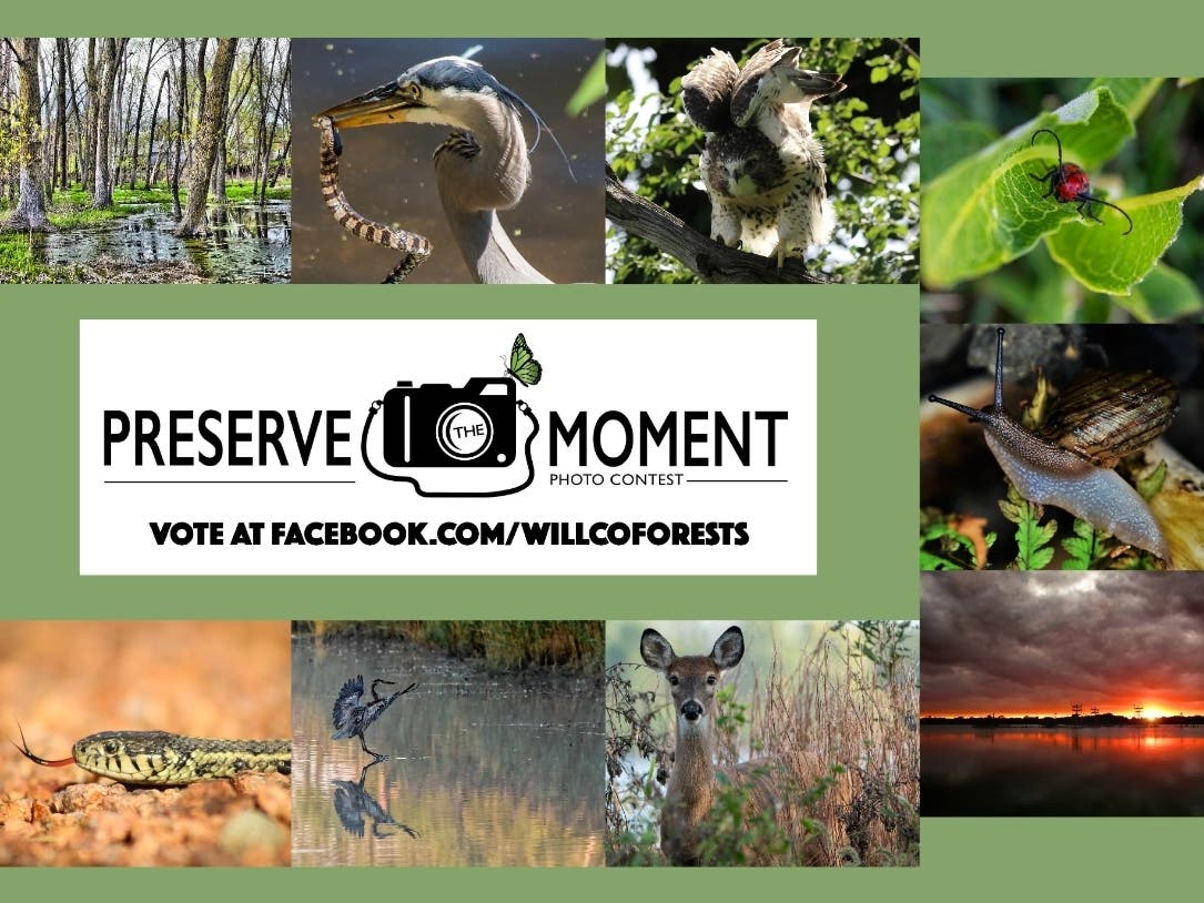 Three overall winners will be chosen from among these nine finalist photos via online voting at Facebook.com/WillCoForests. 