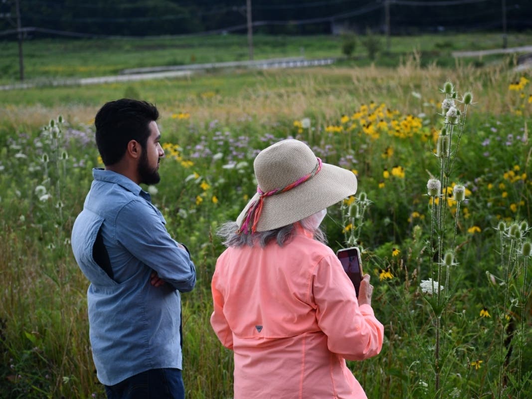 Search for everything from woodpeckers to wood ducks during a Bilingual Bird Hike on Aug. 27 at Lockport Prairie Nature Preserve.