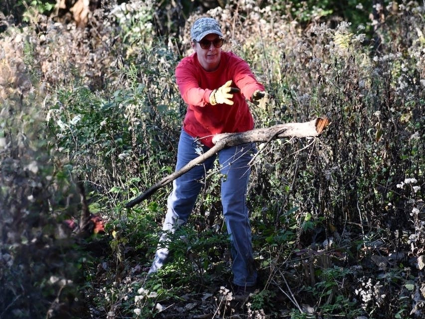 Forest Preserve Seeks National Public Lands Day Volunteers | Mokena, IL  Patch