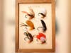 Fly-Fishing items from the 1800s will be on display during Monee Reservoir's 'World's Finest: Fly Fishing Tackle" exhibition starting Aug. 8.