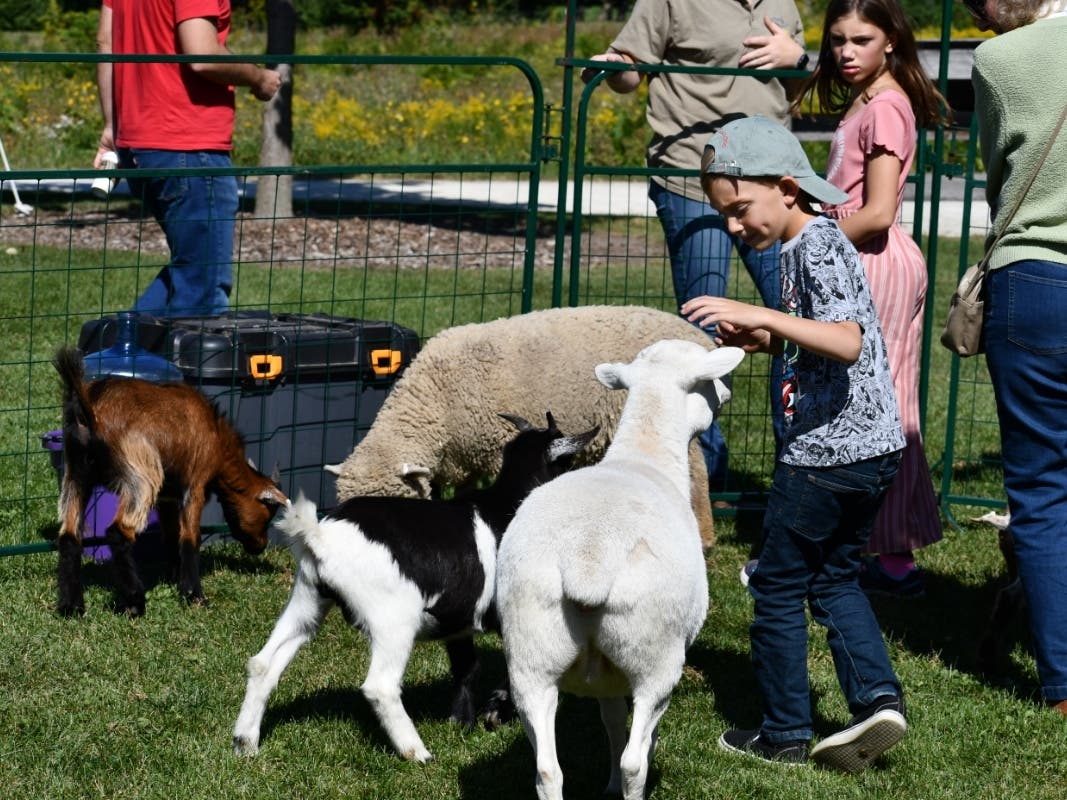 "Bring the whole family ..." to Fall on the Farm set for 11 a.m. Saturday at Riverview Farmstead Preserve in Naperville. 