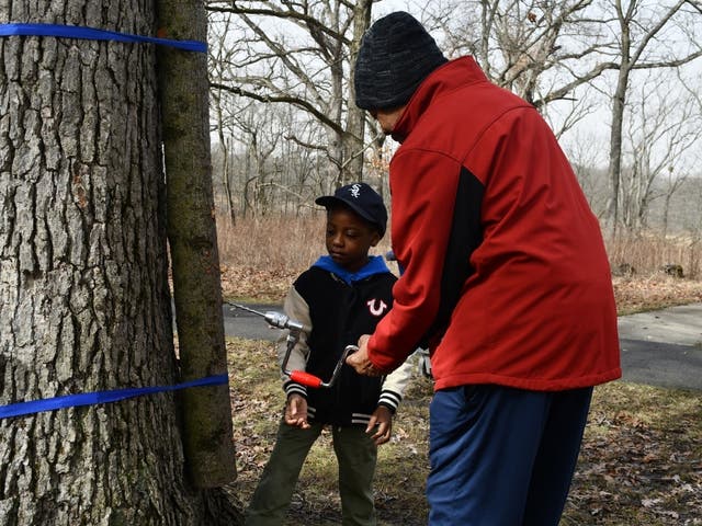 Maple Syrup Magic sweetens the pot with new activities on March 14 ...