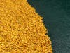 Chicago, Ducky Derby, Intellectual Disabilities, Special Needs, Special Olympics Illinois