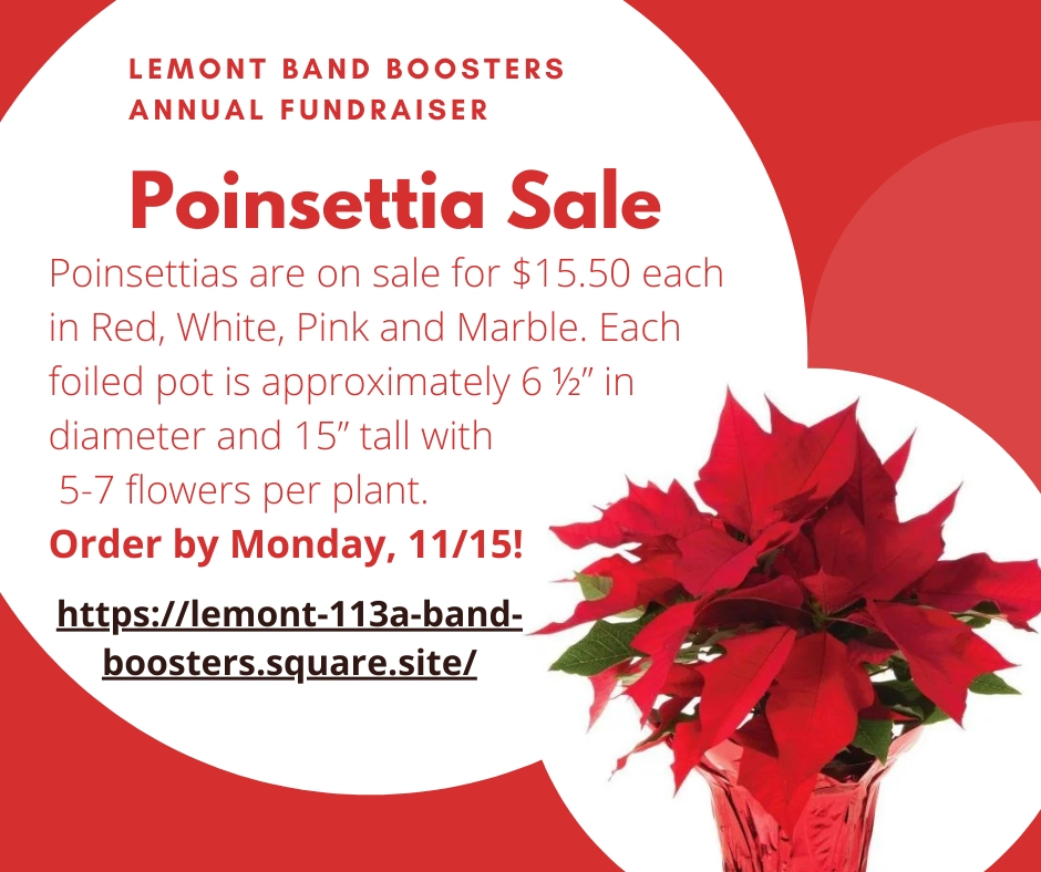 Lemont Band Boosters Host Annual Poinsettia Sale Fundraiser Lemont, IL Patch