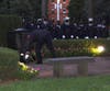 Firefighters place roses at the foot of the memorial.