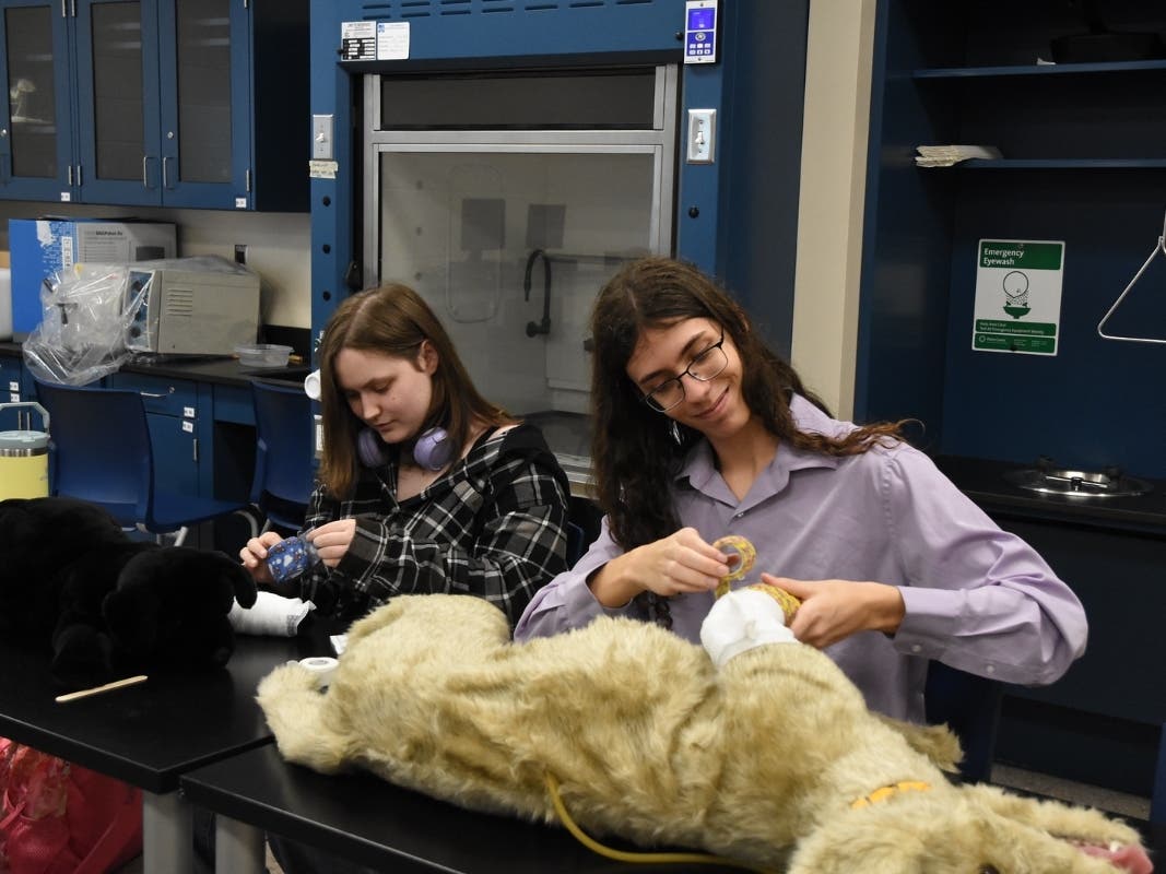 ​Students learn how to fix a “dog's" hurt paw at RCSJ STEM Discovery Day.