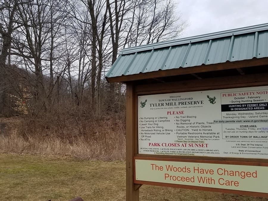 Tyler Mill Preserve in Wallingford reopened last May after being closed for more than a year due to storm-related damage.