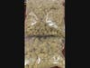 Police also seized approximately 1 pound of marijuana from the man's vehicle.