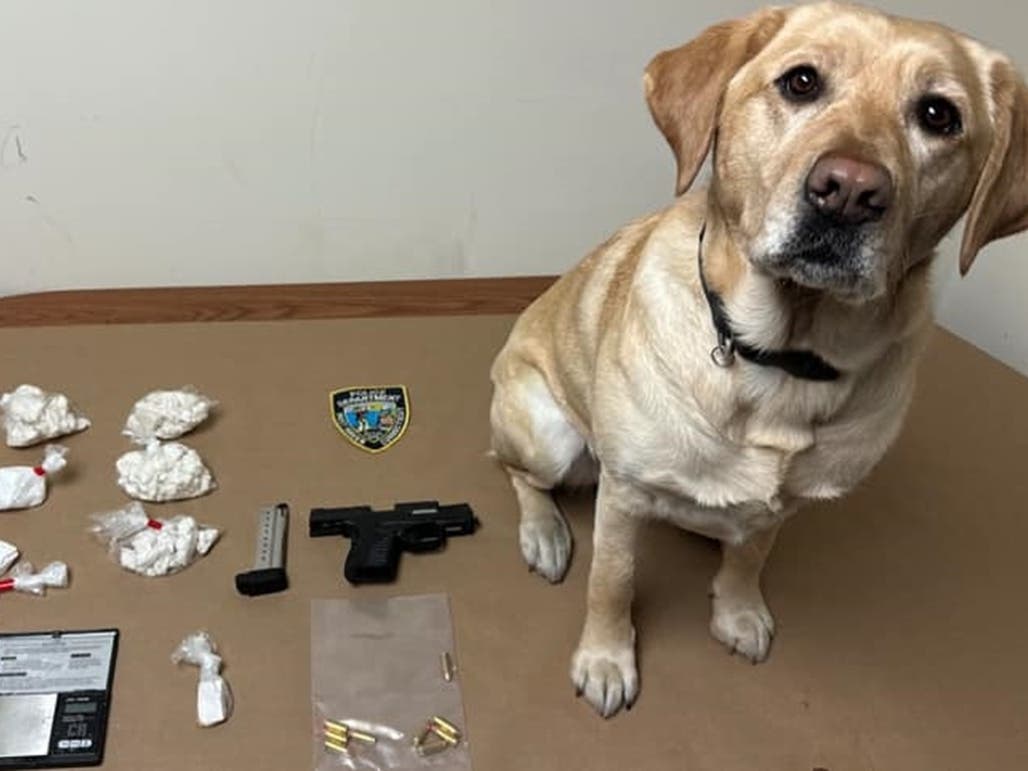 After executing a search warrant, police said the street crime unit seized suspected crack cocaine, powder cocaine, fentanyl and a 9 mm pistol with an obliterated serial number.