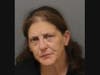 Denise Lucibello, 55, was being held in lieu of a $1 million bond, police said in an update Friday night.