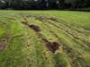 A juvenile is accused of causing more than $5,000 worth of damage to the Cheshire High School band field, according to police.