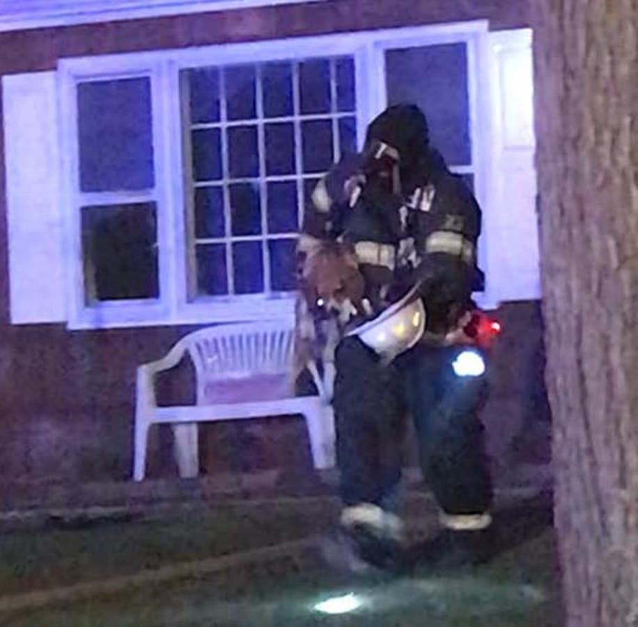Brick Firefighters Revive Dog Rescued From House Fire | Brick, NJ Patch