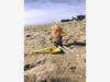 A Barbie doll was found on the beach in Asbury Park. (Ken was found too, the group said.)