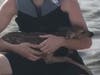 A fawn was rescued from Barnegat Bay on Saturday after a group saw it struggling in the water. 
