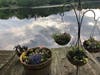 The same spot behind the home when the lake is full. 