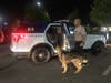 K9 officers searched for explosives. 